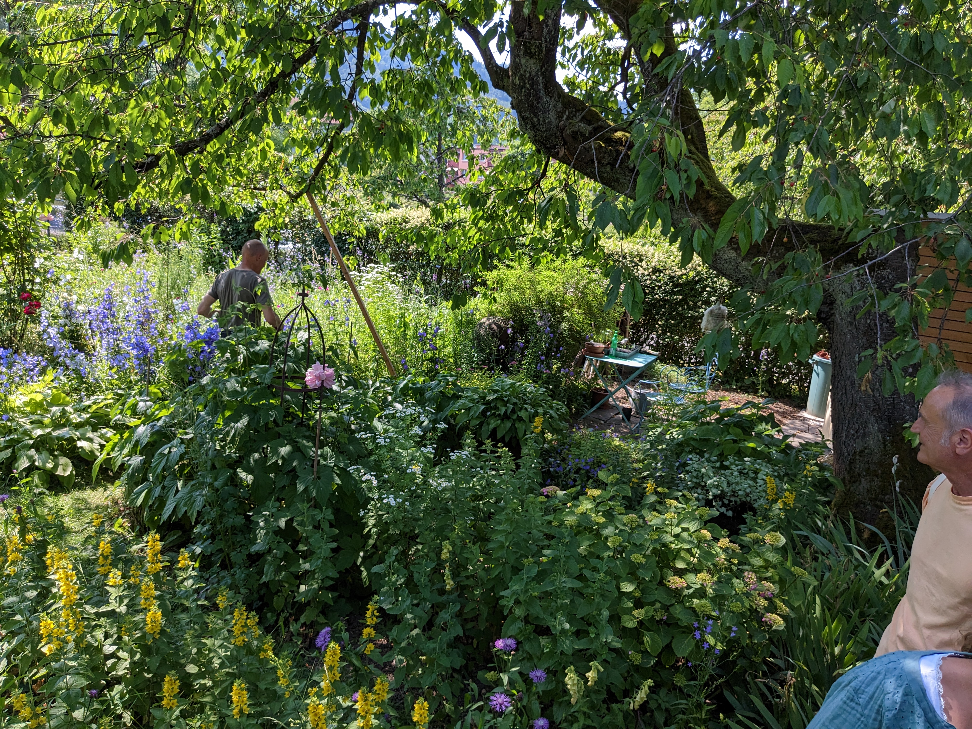 Quartierführung_20230610-Doros_Garten.jpg